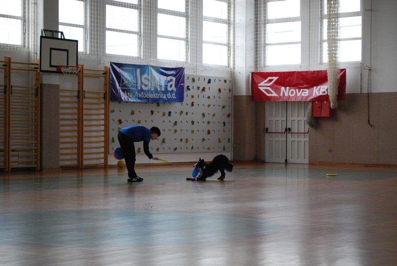 Zakjucek PPT 2011 10
